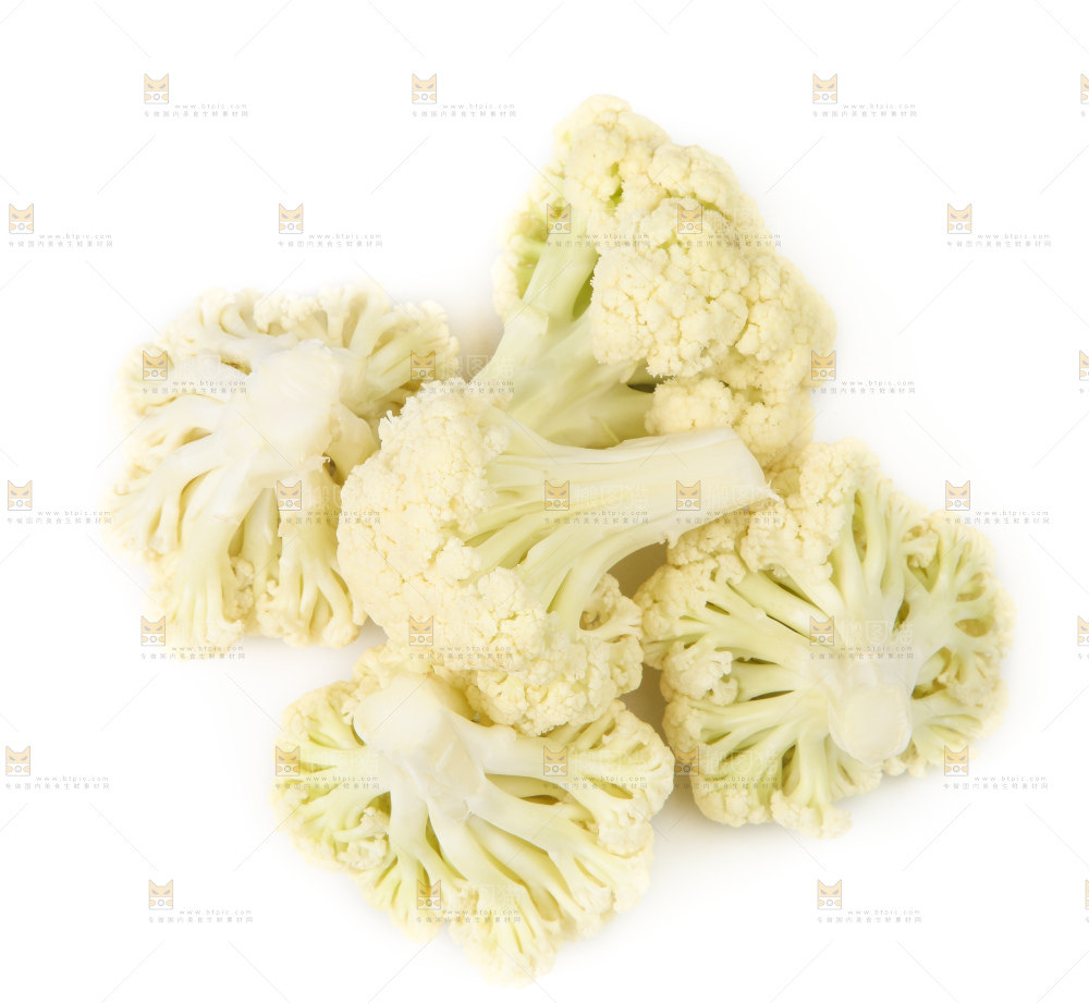 白底上的白花菜