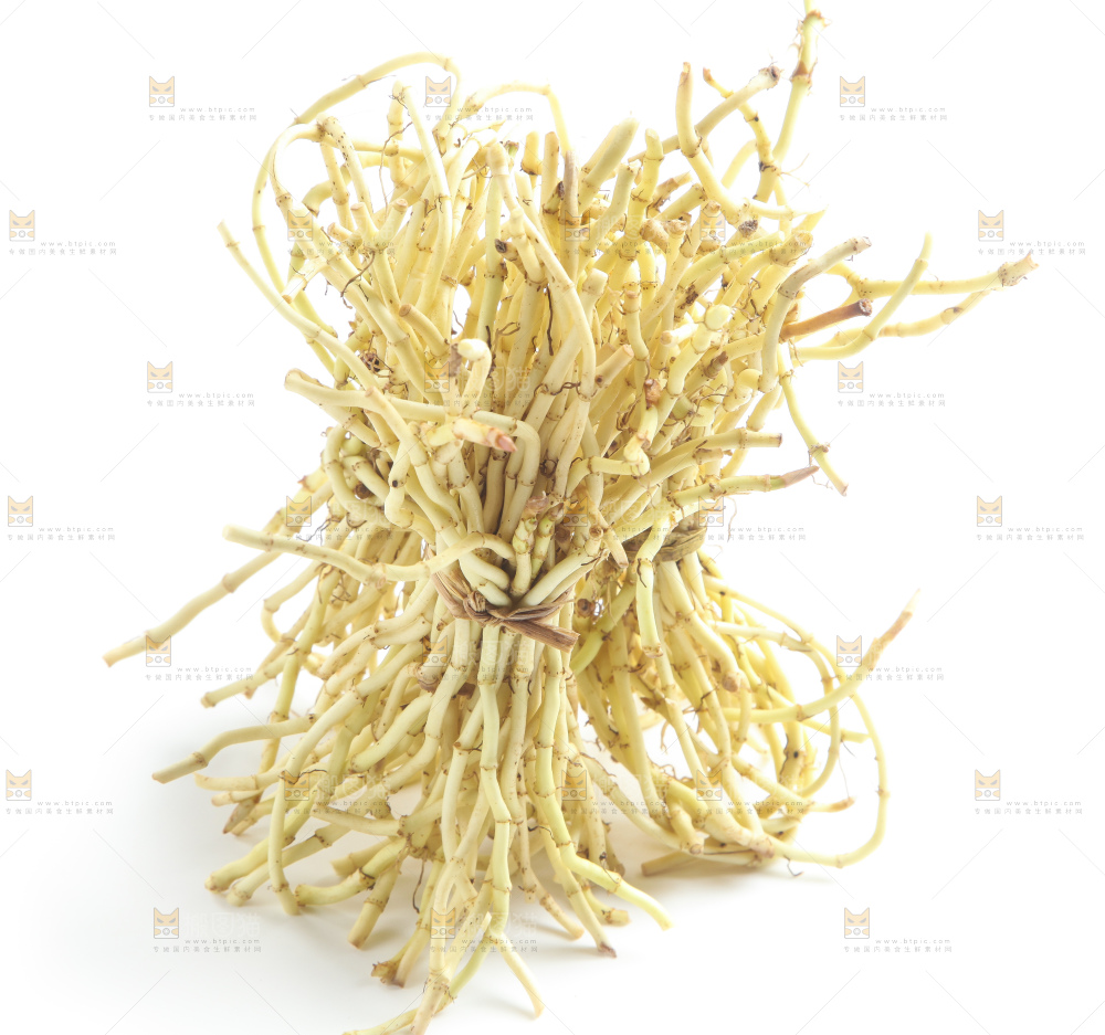 白底上的鱼腥草