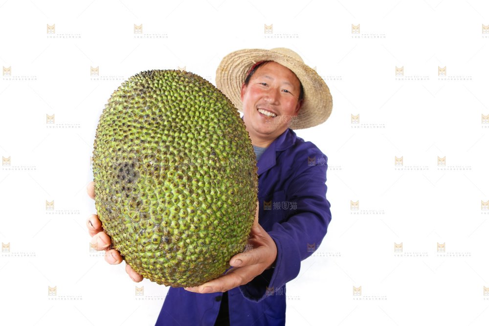农民手里拿着菠萝蜜