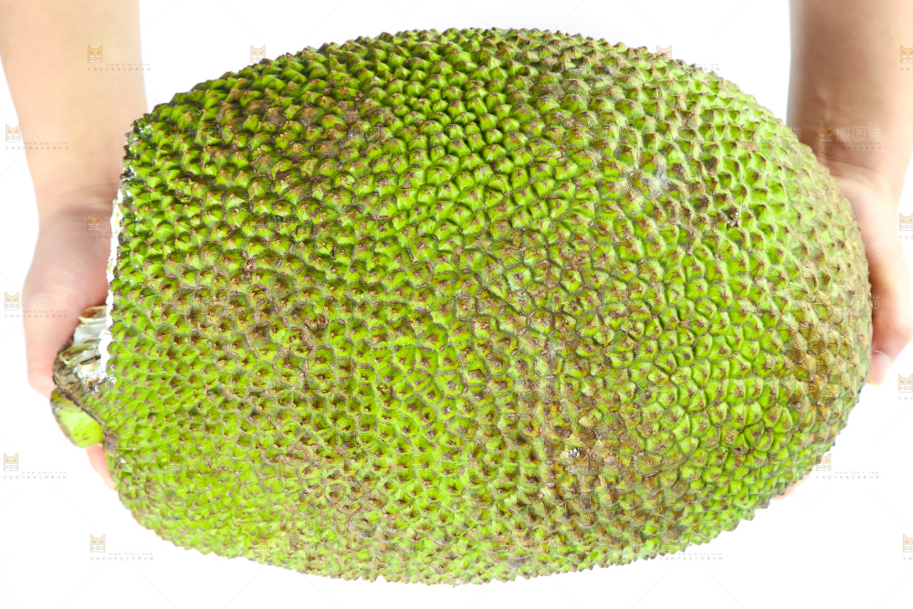 手里抱着新鲜菠萝蜜