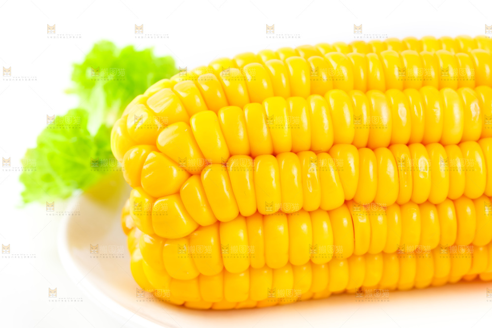白底上放着黄玉米