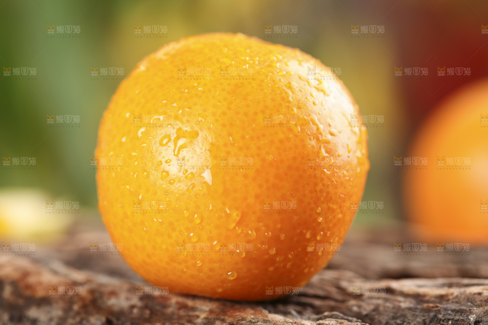 木底上放着新鲜金钱桔