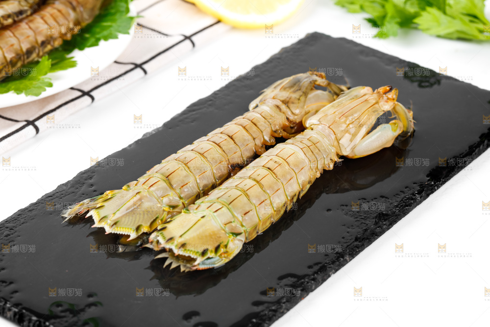 黑石板上的濑尿虾