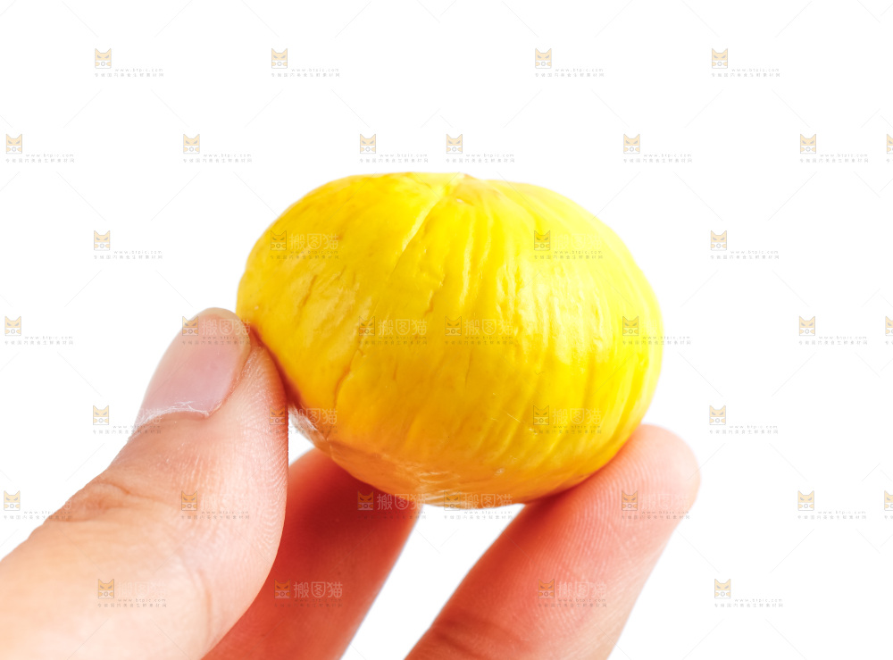手里拿着新鲜板栗
