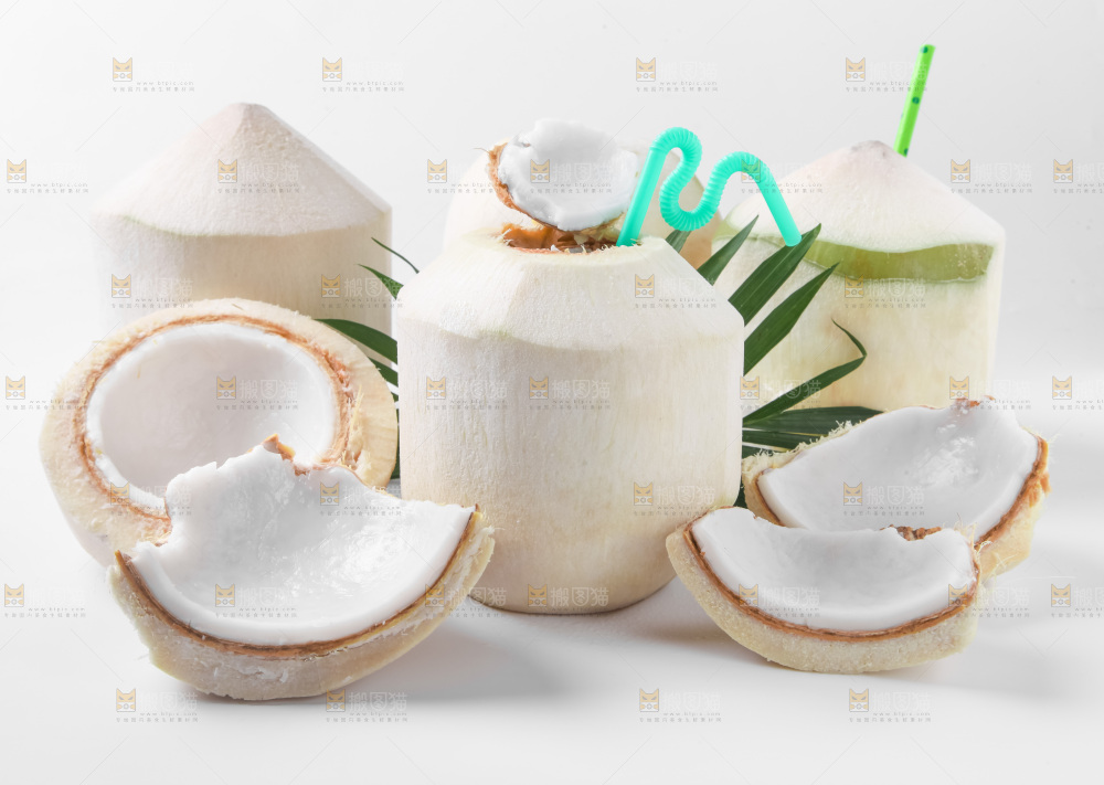白底上青椰子