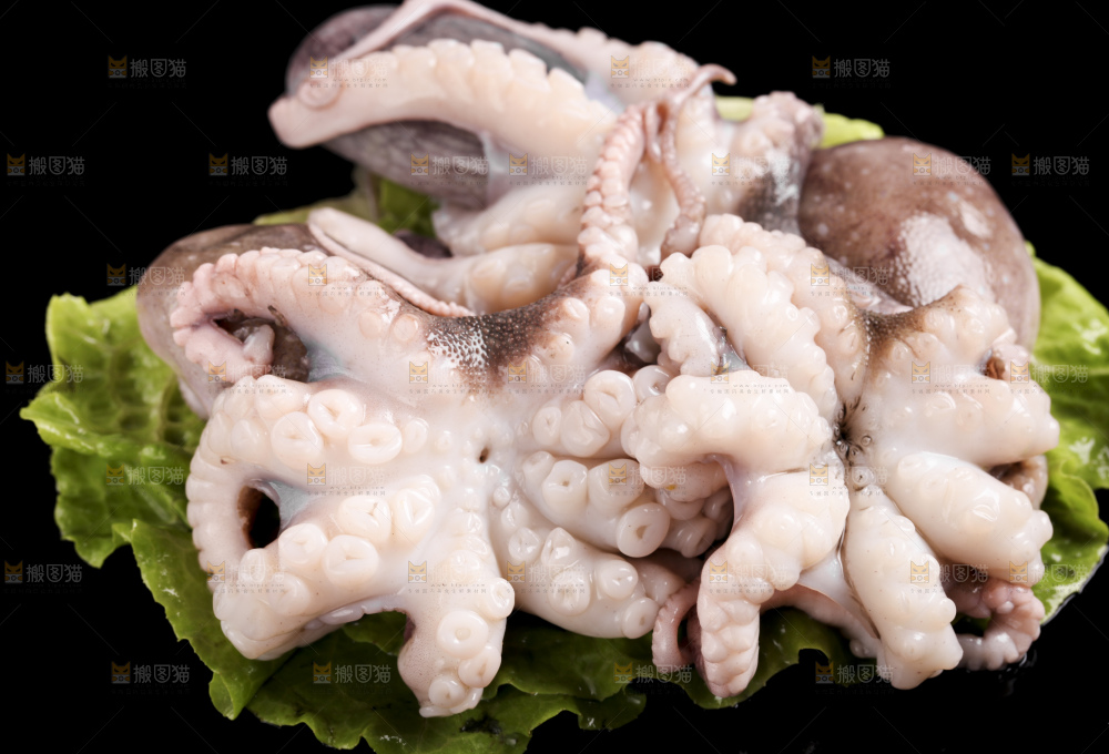 黑底上放着大连章鱼