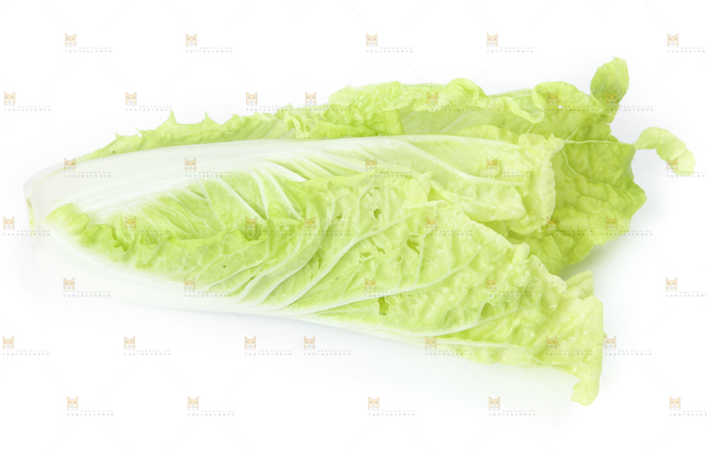 白底上放着大白菜
