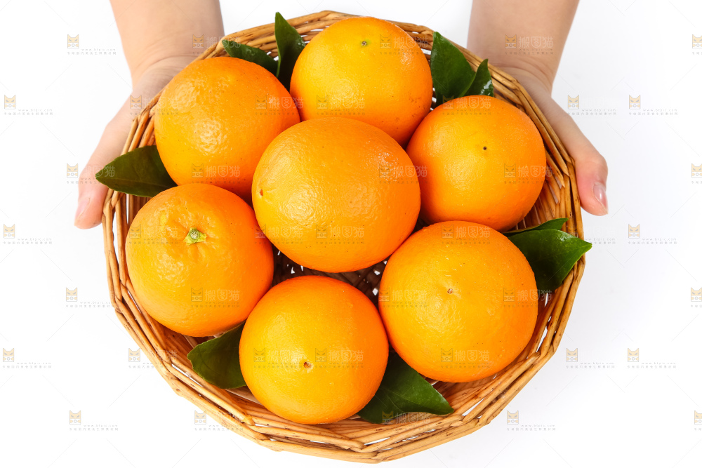 篮子里装着赣南脐橙