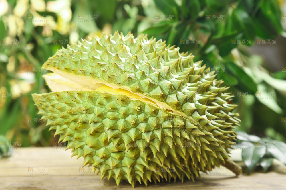 木板上的金枕头榴莲