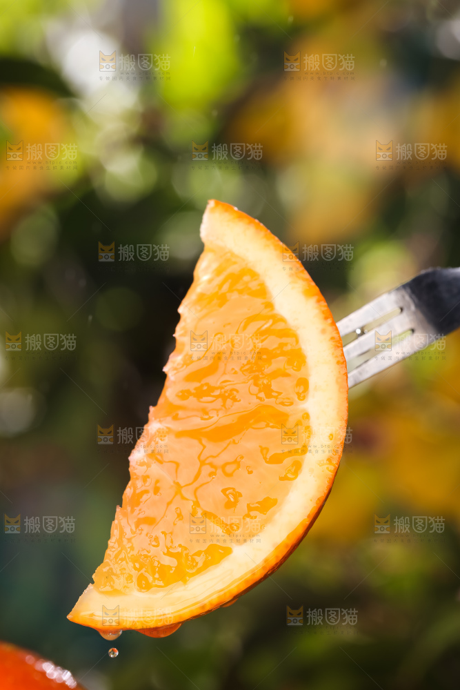 赣南脐橙