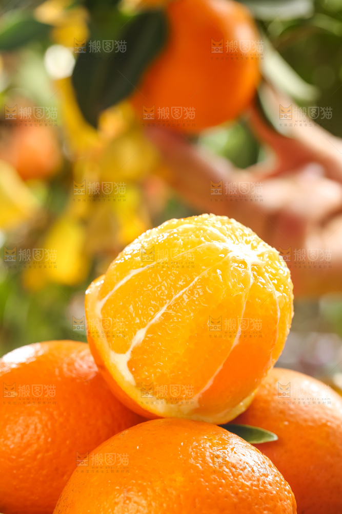 赣南脐橙