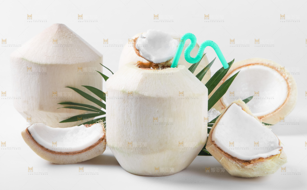 白底上青椰子