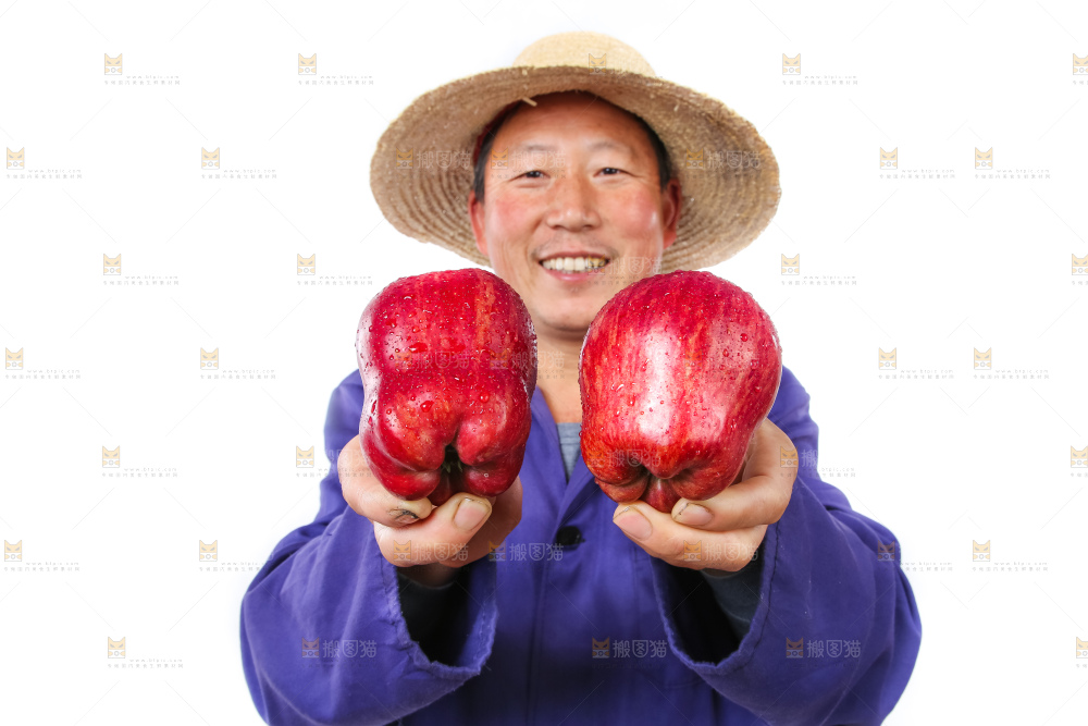 农民手里拿着天水花牛苹果