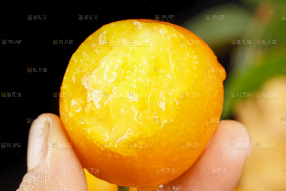 黑底上的小金桔