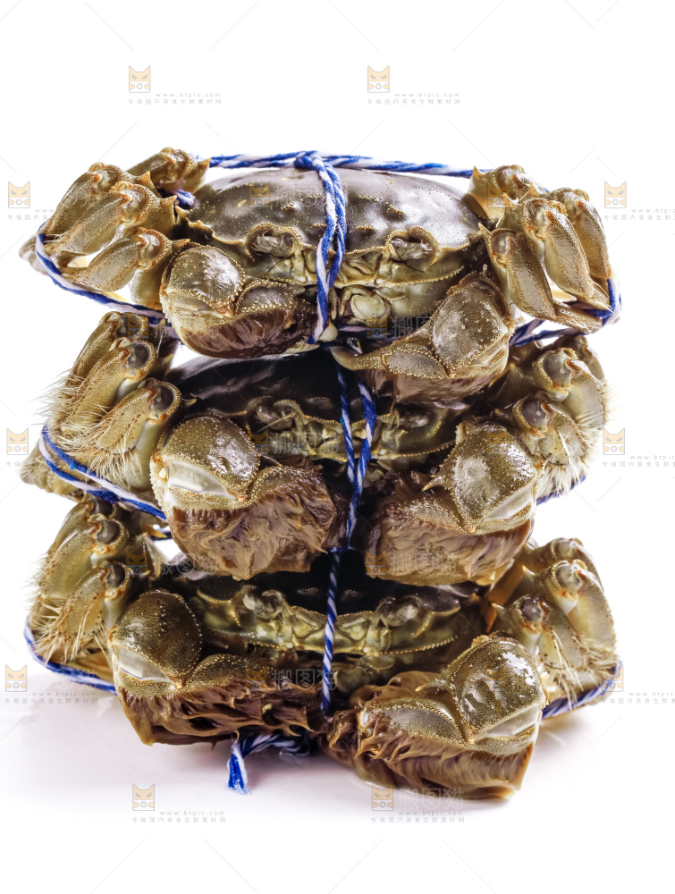 白底上放着大闸蟹