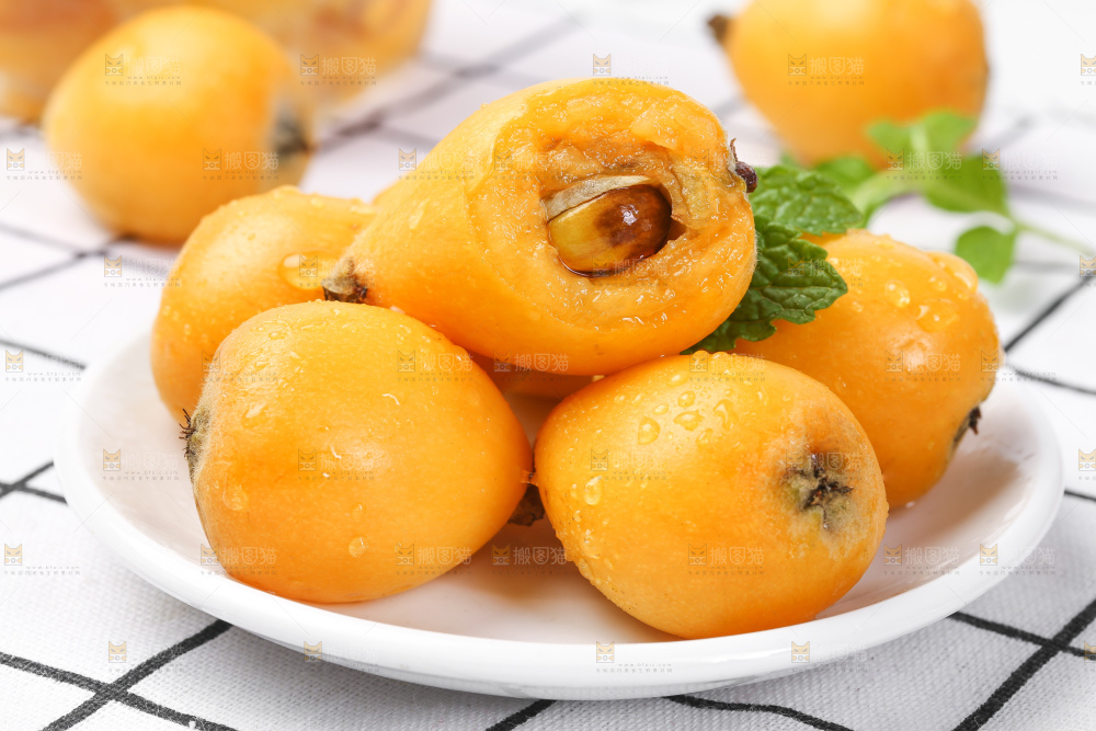 白格子底上的云南蒙自枇杷