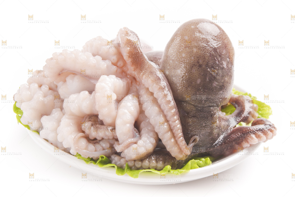 盘子里的大连章鱼