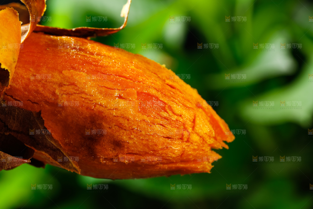 深底上放着烤红薯