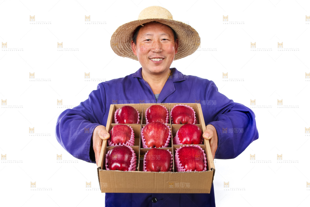 农民手里抱着花牛苹果