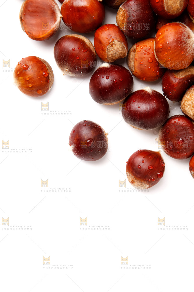 白底上的新鲜栗子