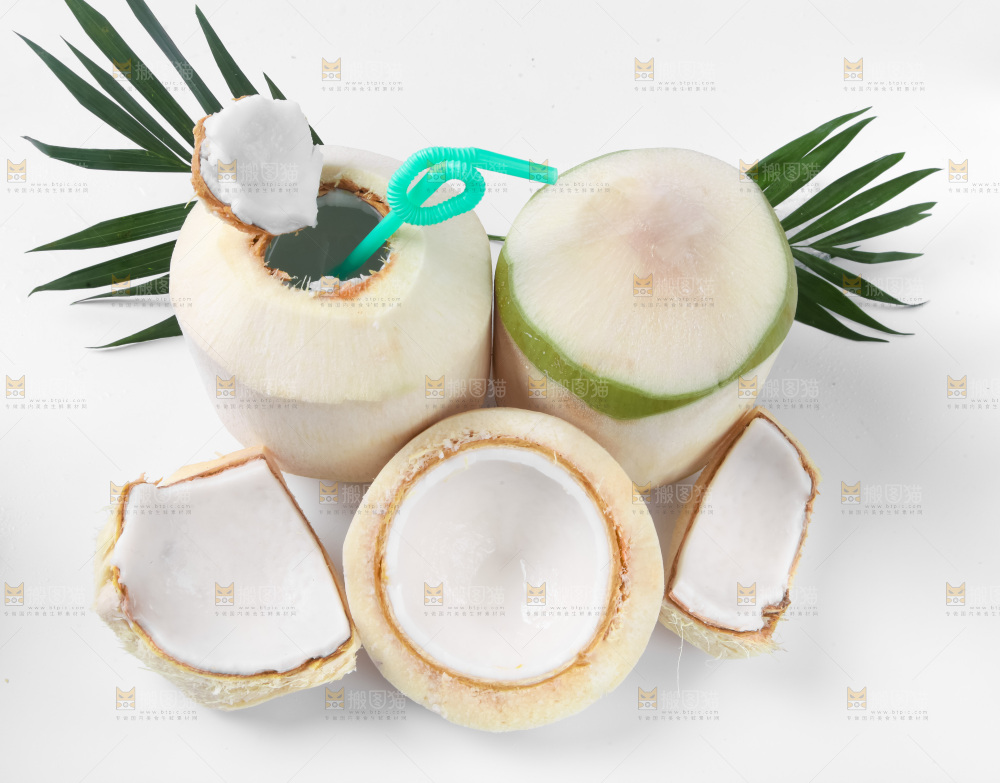 白底上青椰子