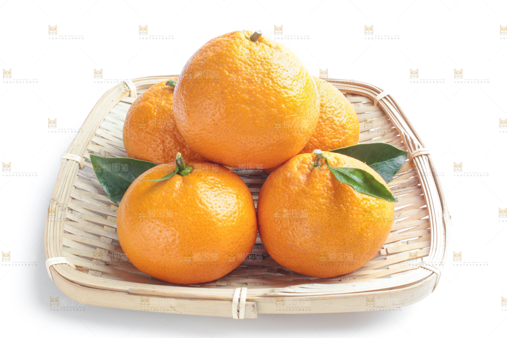 篮子里装着柑橘