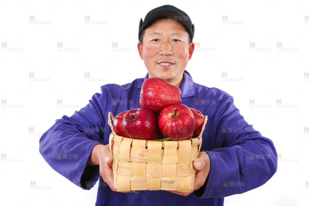 农民手里拿着天水花牛苹果