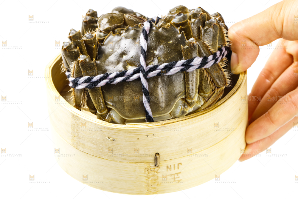 手里拿着鲜活螃蟹