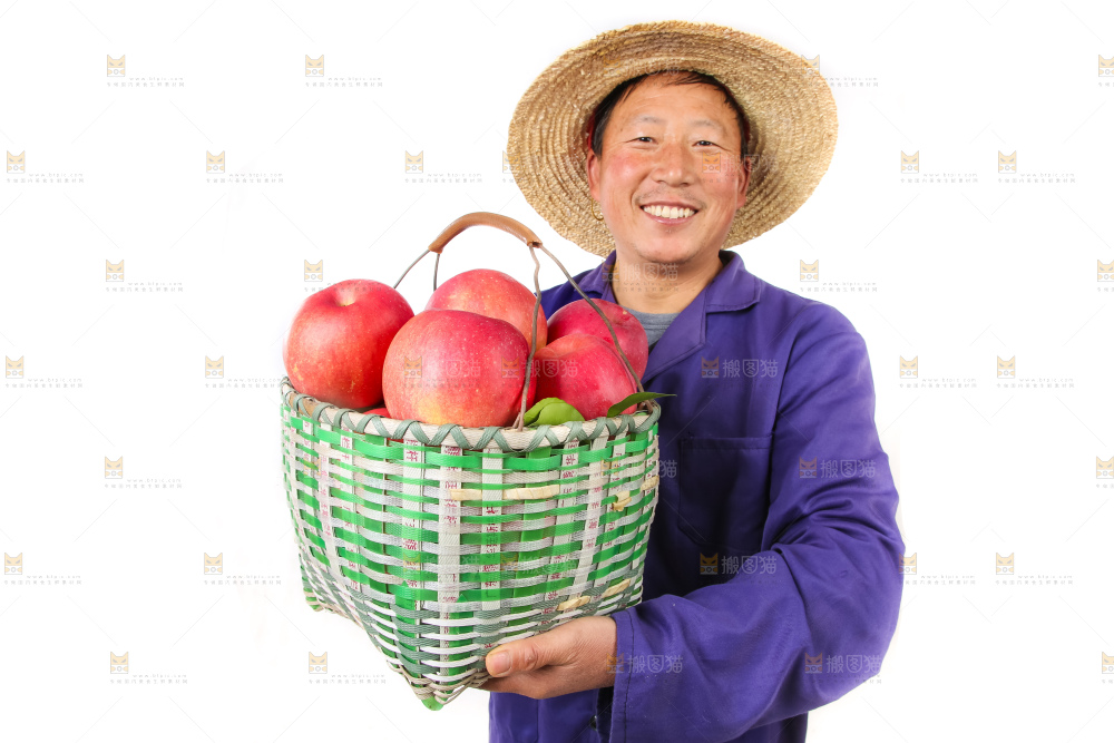 红富士苹果-人物