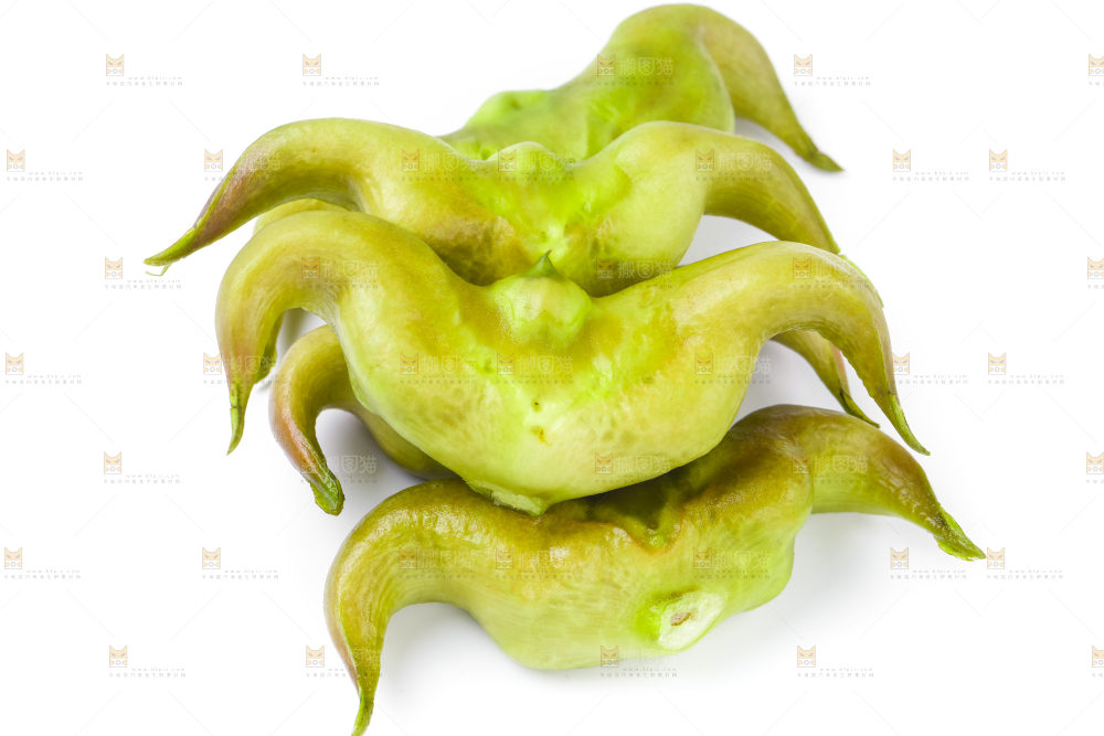 浅底上的新鲜菱角
