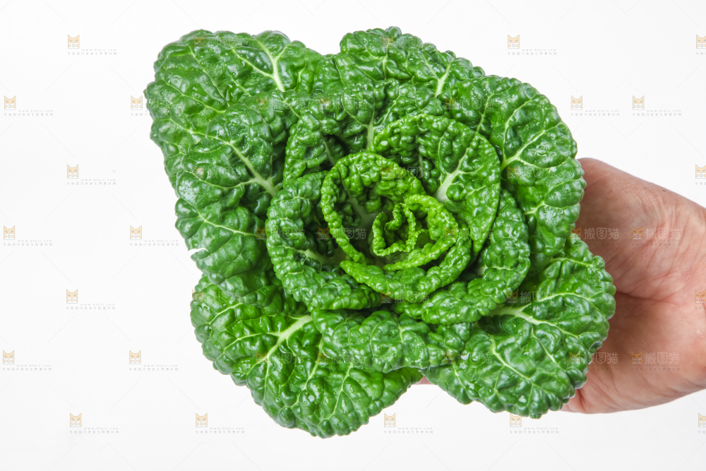 木板上的奶油白菜