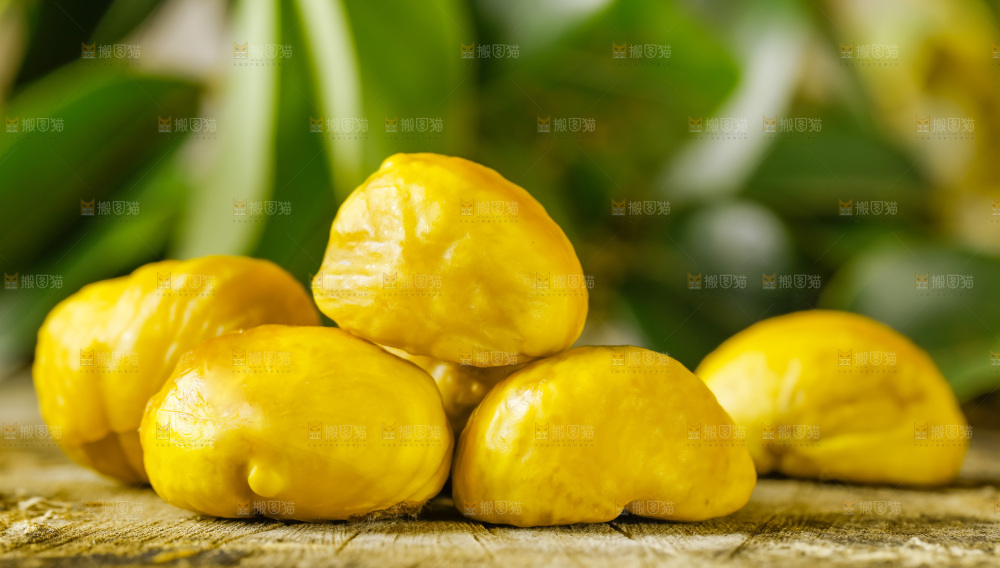 木底上的迁西板栗