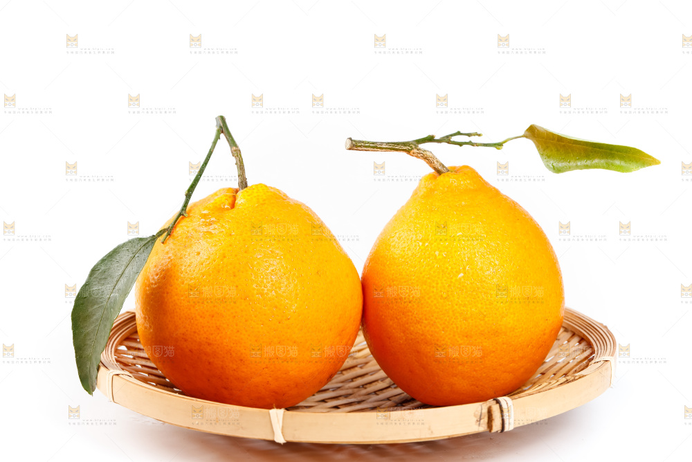春见耙耙柑