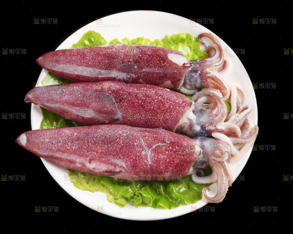 黑底上的鱿鱼