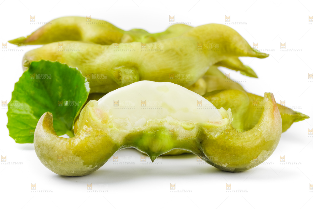 浅底上的新鲜菱角