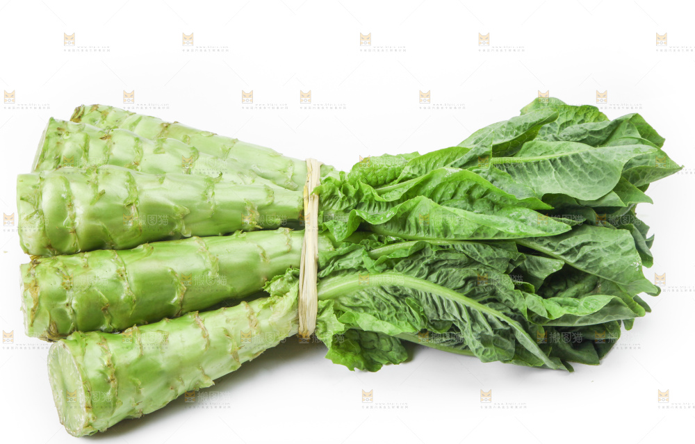 白底上放着新鲜莴笋