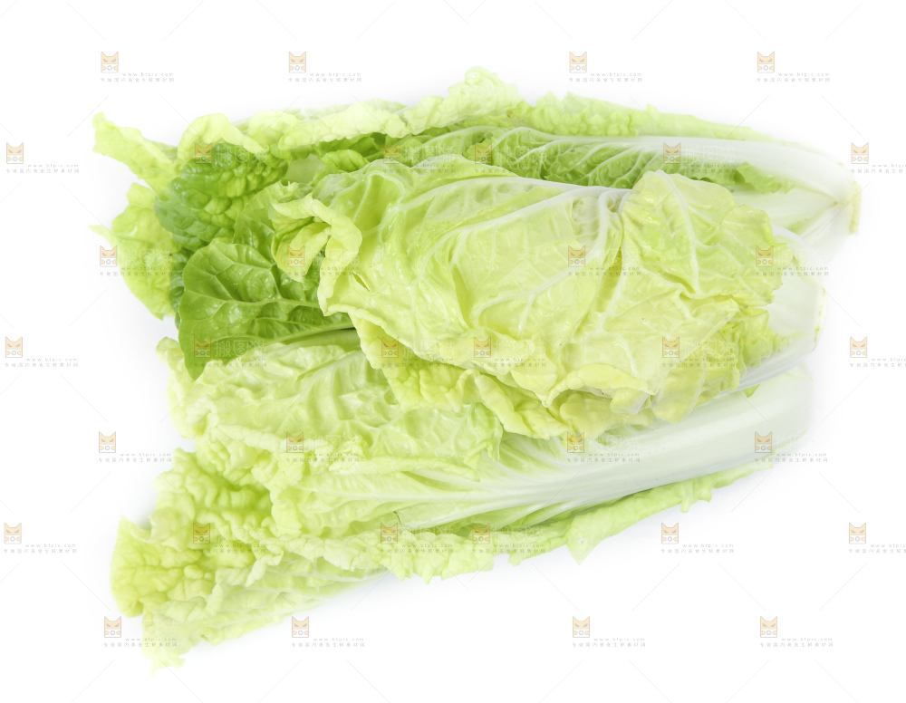 白底上放着大白菜