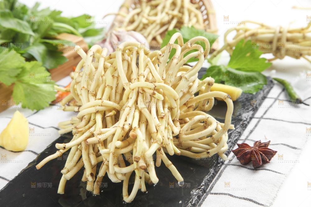 石板上的鱼腥草