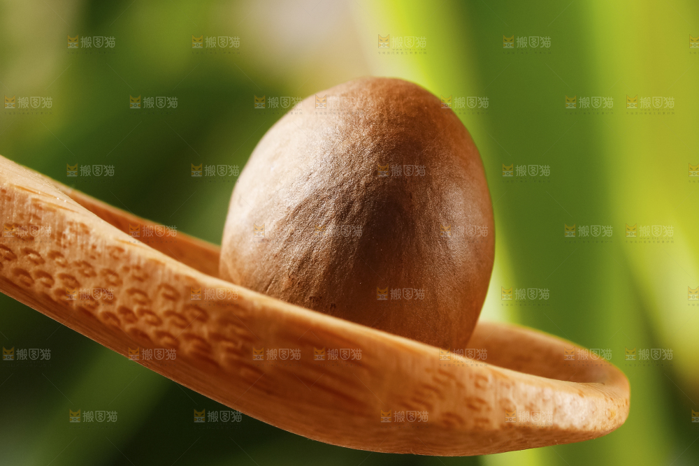 深底上的茶树果