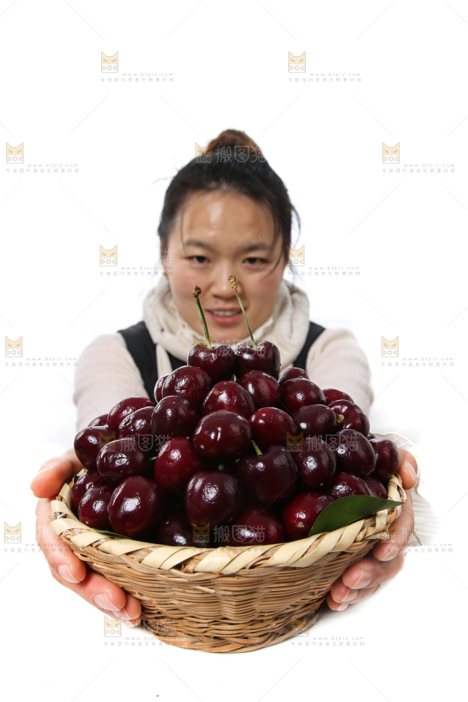 篮子里装着智利车厘子