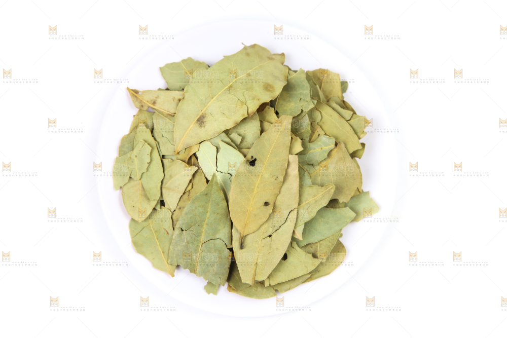 白底上的香桂叶