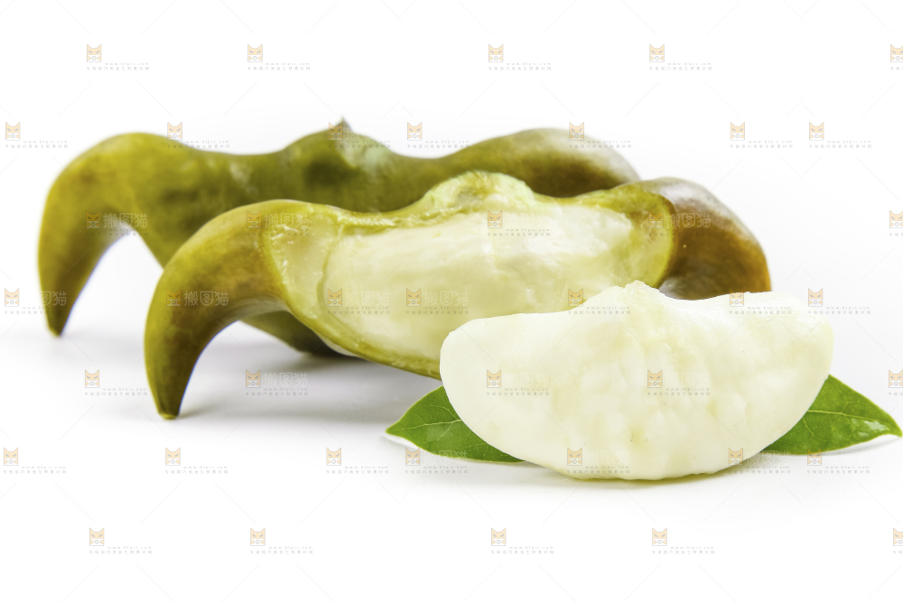 白底上的新鲜菱角