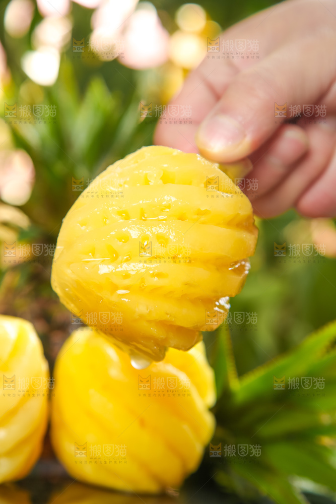 手里拿着新鲜小菠萝