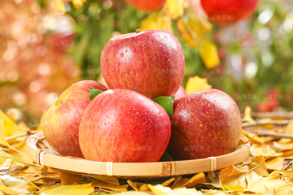 叶子上放着新疆丑苹果