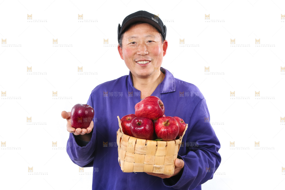 农民手里拿着天水花牛苹果