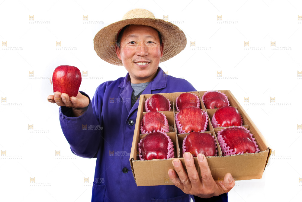 农民手里抱着花牛苹果