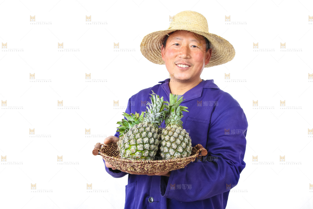农民手里拿着菠萝