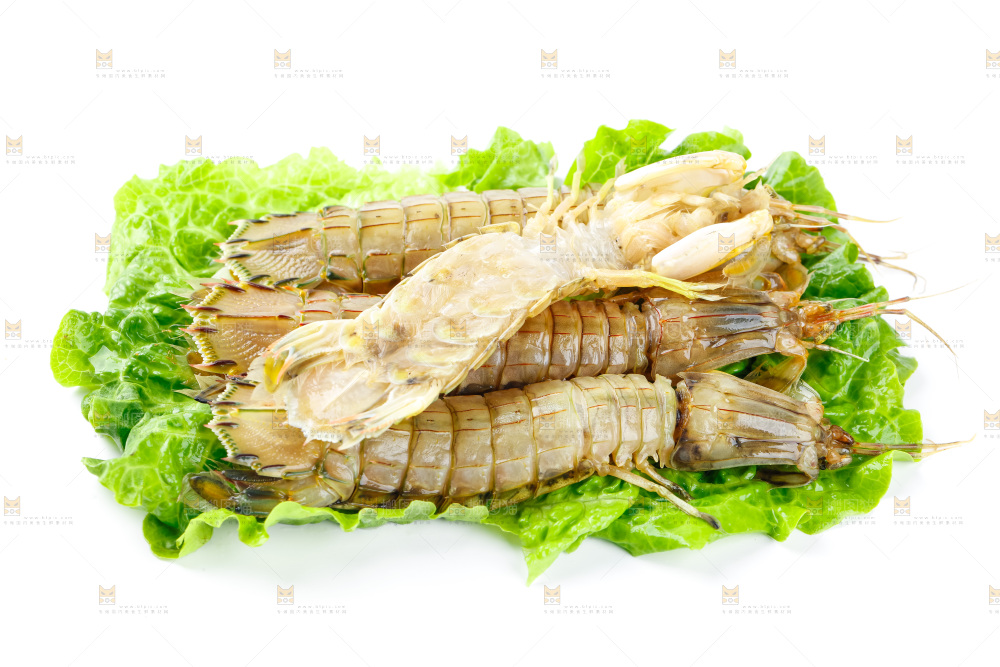 白底上的濑尿虾