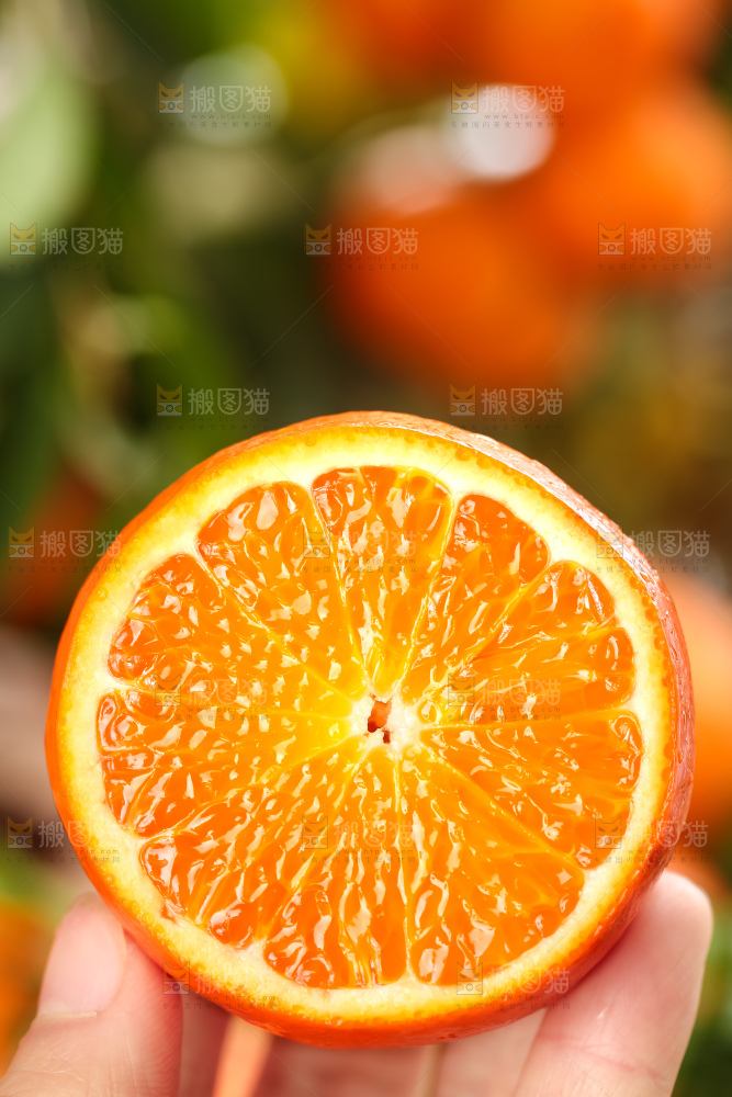 手里拿着新鲜砂糖橘