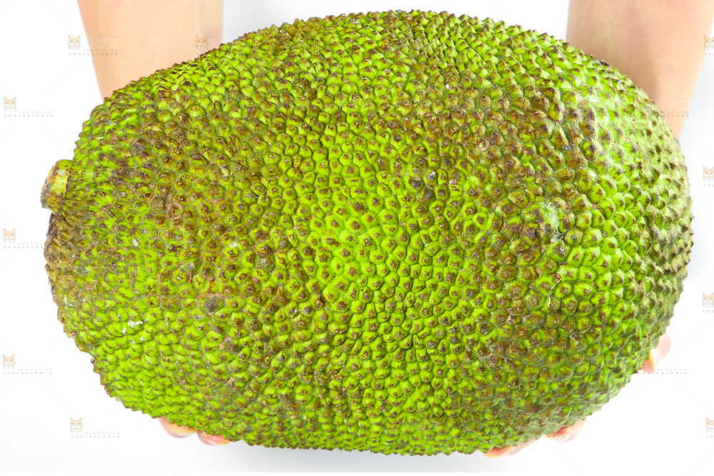手里抱着新鲜菠萝蜜